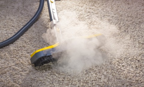 Professional steam cleaning and removing stains from carpet Professional steam cleaning and removing stains from carpet